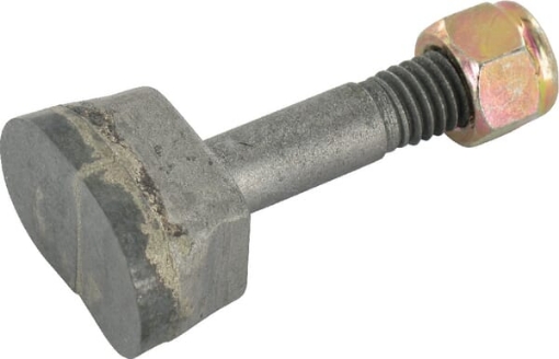 PictureAltAttribute - SCT0078036-jpg